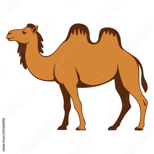 camel vector illustration
