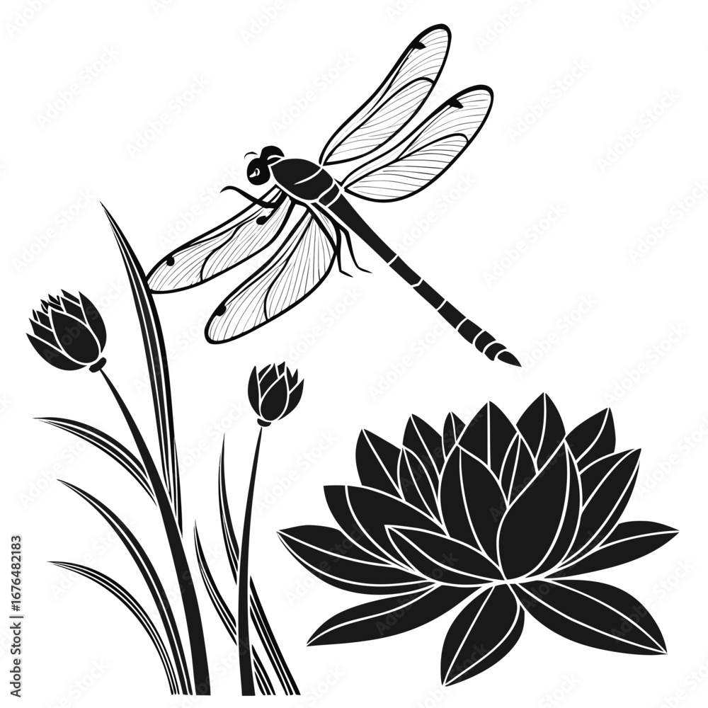 Obraz premium dragonfly on a flower