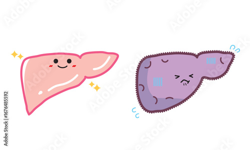 人の臓器キャラクター　健康な肝臓と不健康な肝臓　セット