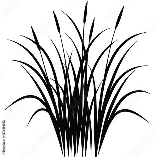 Black Silhouette of Cattails and Grass on White Background bulrush reed