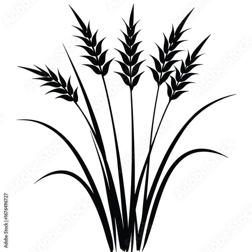 Black Silhouette of Wheat Ears and Grass Blades on White Background grain cereal