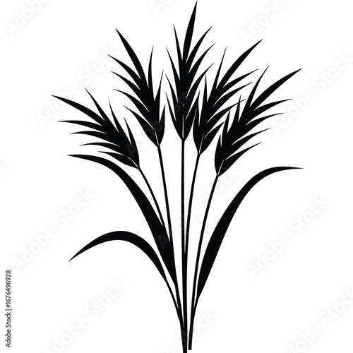 Black Silhouette of Wheat Stalks and Leaves on White Background grain cereal