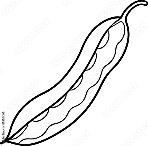 green bean outline vector illustration line art