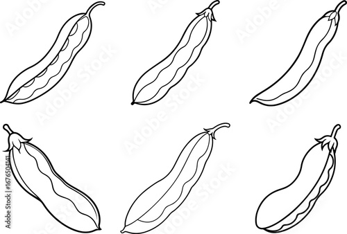 Set of green bean outline vector illustration line art