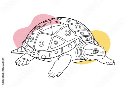 A detailed line drawing of a tortoise with colorful abstract shapes in the background showcasing its unique patterned shell and sturdy legs on a white background
