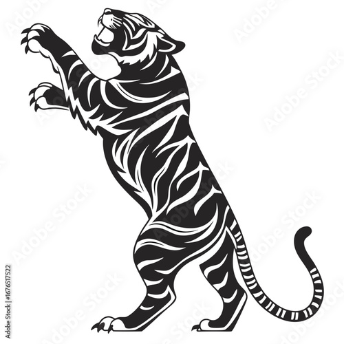 zebra vector illustration
