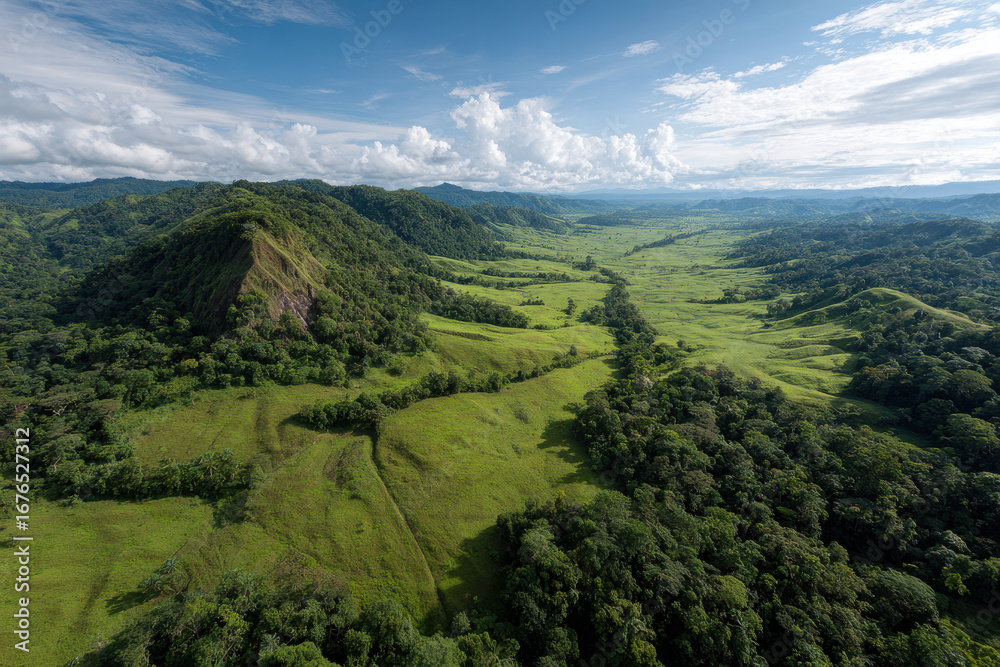 Fototapeta premium aerial view captures breathtaking beauty of untouched nature and sprawling urban landscapes across continents