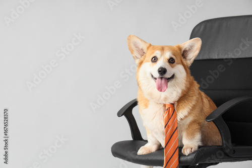 Cute business dog with neck...