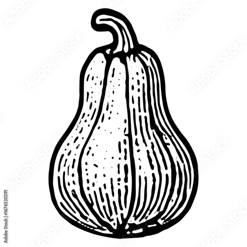 Classic Pumpkin Icon for Autumn Farm Harvest Art