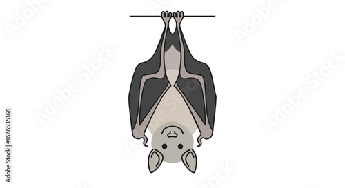 Illustrated bat hanging upside down symbolizing nocturnal behavior and wildlife representation, creating a simplified bat character for animal