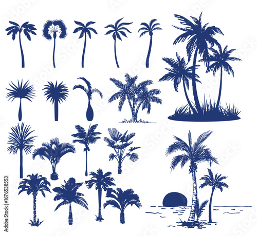 Palm trees silhouette vector illustration set
