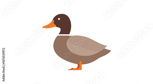 Minimalist vector illustration showcasing a mallard duck with smooth shapes and neutral tones against a crisp white background