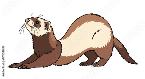 Playful ferret illustration with a whimsical charm, showcasing its distinctive colors and flexible body posture in a cute pose