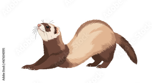 Adorable Ferret Stretching Isolated on White Background, Expressing Joyful Curiosity, Drawn in a Cartoon Style Illustration that Evokes Innocence