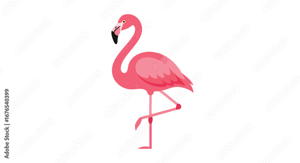 Obraz premium Single pink flamingo standing gracefully on one leg against a pristine white backdrop for designs