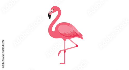 Single pink flamingo standing gracefully on one leg against a pristine white backdrop for designs