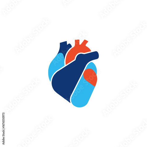 Anatomical heart illustration in blue, red and orange on a white background.