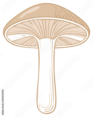 Brown Mushroom Illustration Fungus Edible Fungi Mycological Forest Woodland Nature Icon Outline Drawing