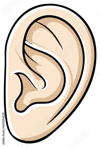 Detailed illustration of a human ear with clean outlines and soft shading in a light skin tone