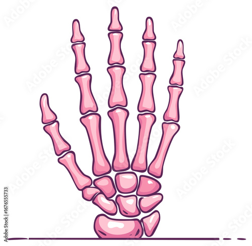 Vivid pink stylized human hand skeleton bones medical anatomy concept cartoon illustration