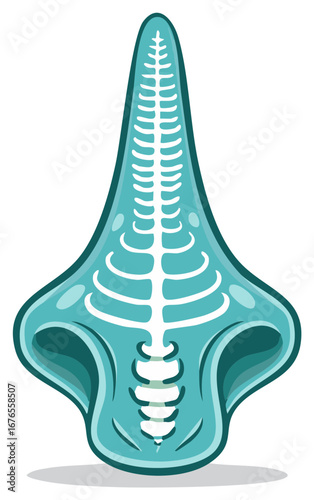 Stylized human nose illustration with internal cartilage structure in an anatomical blue graphic design