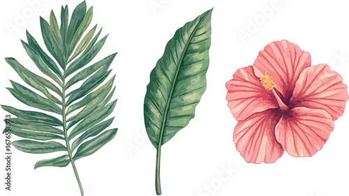 Delicate blue ink botanical sketch collection featuring blossoms leaves and floral elements