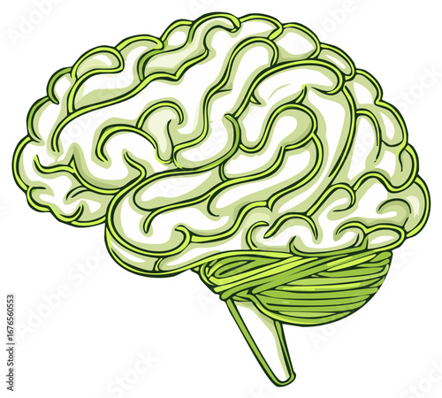 Anatomical illustration of a brain showing the complex structure and function in cartoon style with green outline