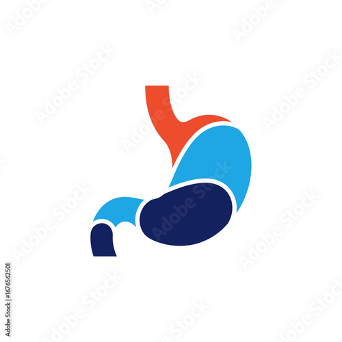 Stylized illustration of the human stomach, a vital organ for digestion.