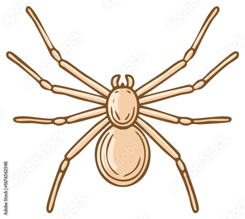 Illustration of an Eight-Legged Spider with Neutral Colors Isolated on White