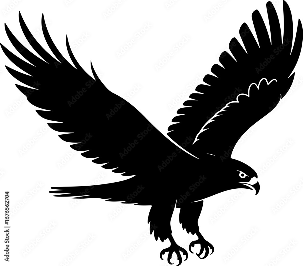 Obraz premium Hawk bird Vector