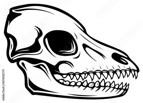 Monochrome Animal Skull Graphic Illustration, Vertebrate Remains, Wildlife Skeleton