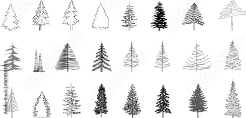 A detailed black-and-white vector collection of various conifer tree elevations, suitable for architectural, landscape, and urban design projects that require a natural and detailed aesthetic.