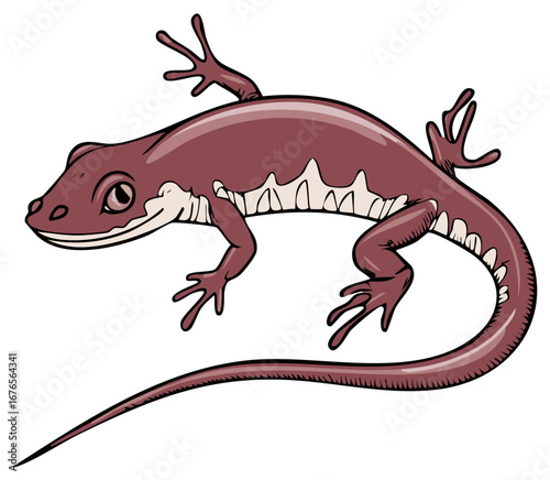 Illustration of a maroon lizard with white belly stripes on white background