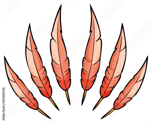 Fan of Orange Feathers with Dark Outline on White Background