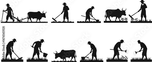 Farmer silhouette, ox plowing field, rural agriculture, crop cultivation, planting seeds, soil preparation, traditional farming, sustainable agriculture, village life, harvest