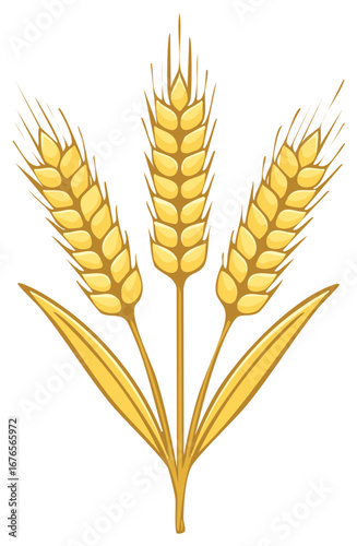 Vector illustration of three golden ripe wheat stalks for agriculture bakery and harvest concepts