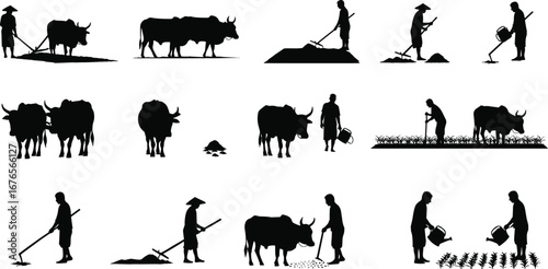 Farmer silhouette, ox plowing field, traditional agriculture, rural farming, crop cultivation, watering plants, sustainable farming, village life, agricultural work