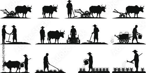 Farmer silhouette, ox plowing, traditional agriculture, rural farming, crop cultivation, watering plants, seeding, soil preparation, agricultural tools, village life, sustainable farming