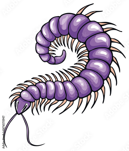 Cartoon Centipede with Segmented Body and Spiked Legs, Purple color