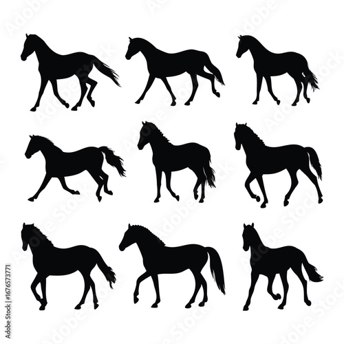 Silhouette Collection of Running and Walking Horses
