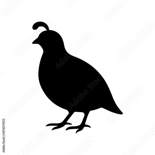 Quail silhouette icon vector flat illustration on white background.