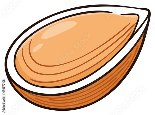 Realistic Vector illustration of peach color almond in shell - Close up of  seed kernel
