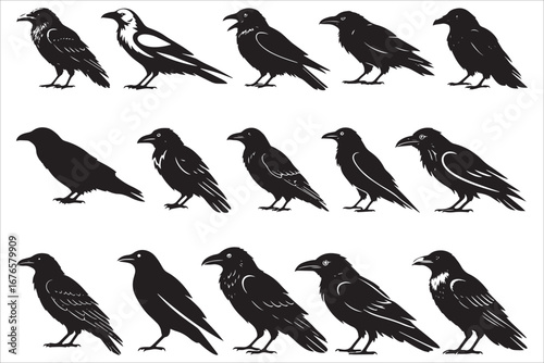 Crow and Raven Silhouettes Collection