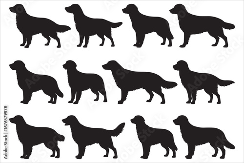 Golden Retriever Dog Silhouettes Collection