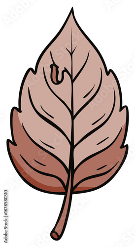 Illustration of a single brown leaf with a hole in it, on white.