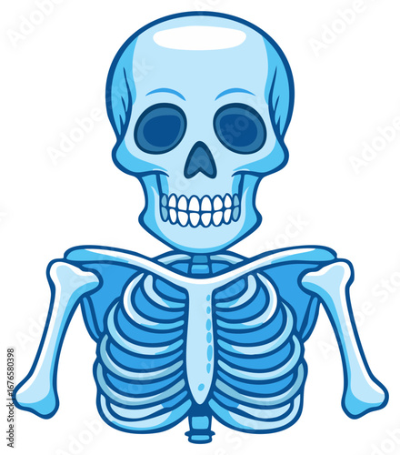 Cartoon illustration of a blue human skeleton.