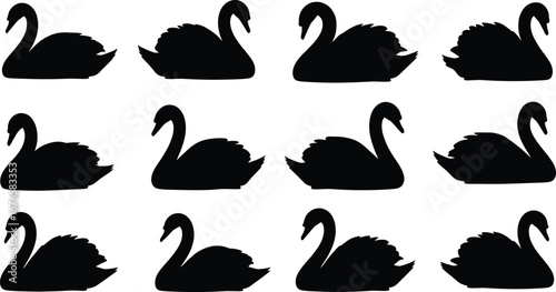 Swan silhouettes, black swan vector, bird illustration, elegant waterfowl design, nature animal artwork, lake wildlife graphic, graceful silhouette art