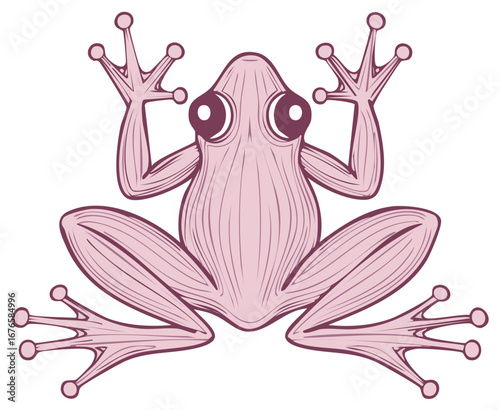 Playful light purple frog vector art with cute big eyes and outstretched legs