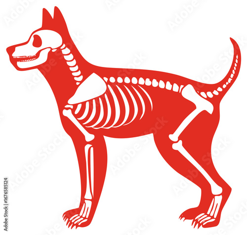 Red Dog Silhouette with Visible White Bone Structure Anatomy Illustration