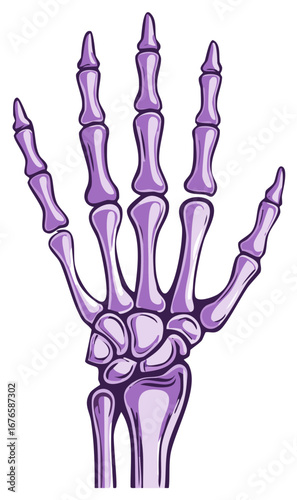 Stylized Purple Skeleton Hand Illustration with Fingers Spread Open